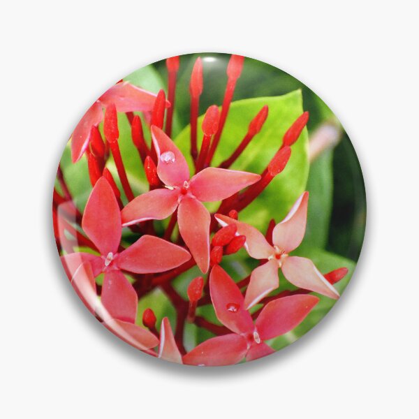 Item preview, Red Flowers designed and sold by Rav33822.