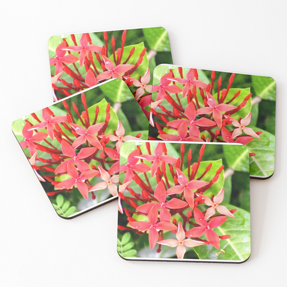 Item preview, Coasters (Set of 4) designed and sold by Rav33822.