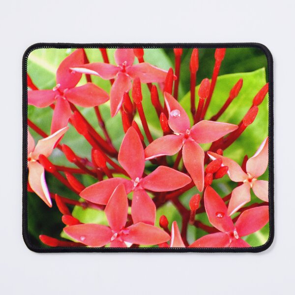 Item preview, Red Flowers designed and sold by Rav33822.