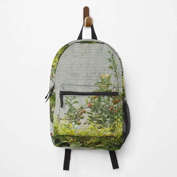Item preview, Danish apple tree designed and sold by SoelleBloom.