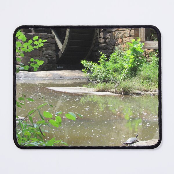 Item preview, Turtle at Yates Mill designed and sold by YatesMillStore.