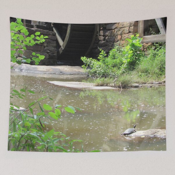 Item preview, Turtle at Yates Mill designed and sold by YatesMillStore.