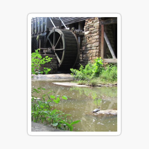 Turtle at Yates Mill Sticker