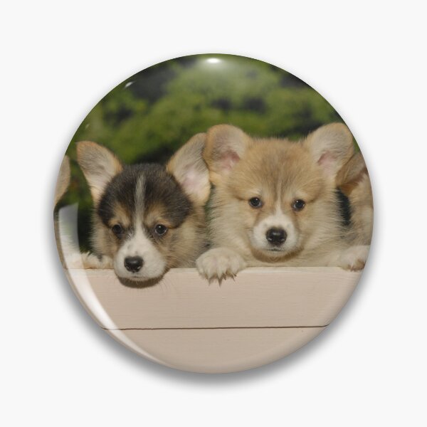Artikelvorschau, Gruppe von Corgi-Welpen entworfen und verkauft von Dusty Perin.