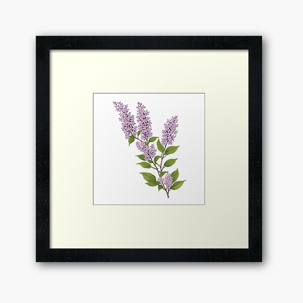 Item preview, Lilac illustration designed and sold by findthetwig.