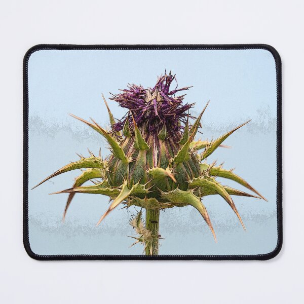 Item preview, Thistle Flower. designed and sold by GingerMan2550.