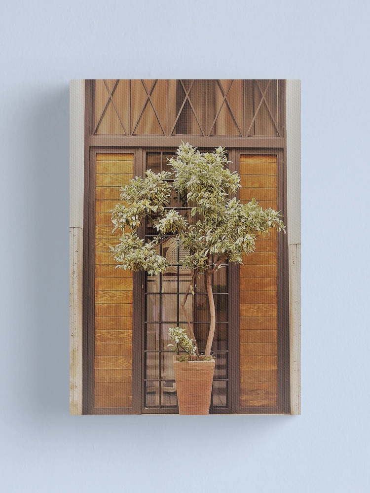 Thumbnail 1 of 3, Canvas Print, Window Dressing...................Rome designed and sold by Fara.