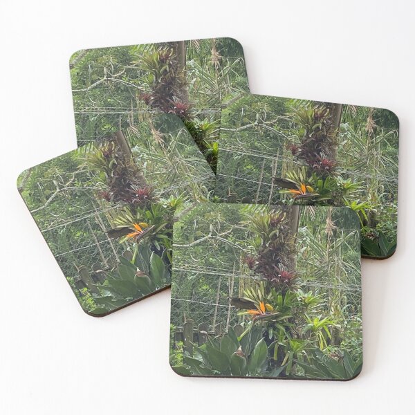 Item preview, Forest designed and sold by 5tikers.