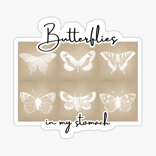 Funny Women's Panties Briefs – I Have Butterflies in My Stomach When I'm  Around You