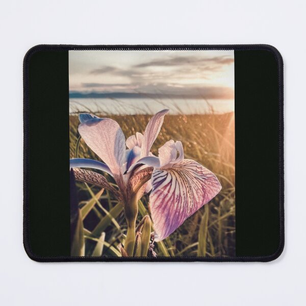 Item preview, iris designed and sold by Véronique Pelletier.