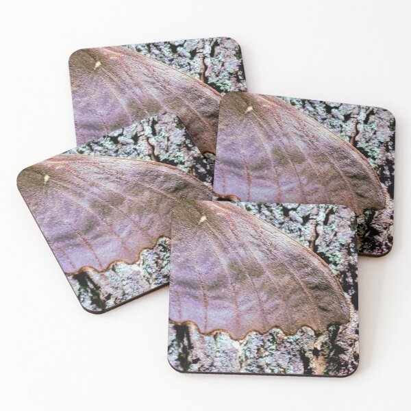 Item preview, Sphinx moth designed and sold by sarahsalixart.
