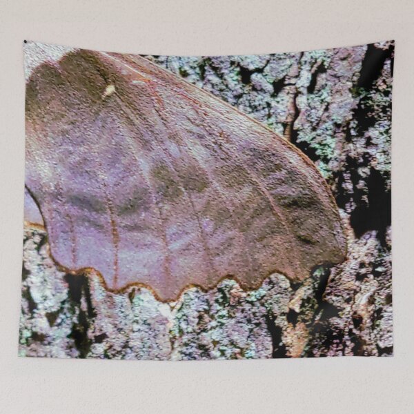 Item preview, Sphinx moth designed and sold by sarahsalixart.
