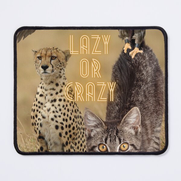 Item preview, Lazy or crazy designed and sold by ManifestYDreams.