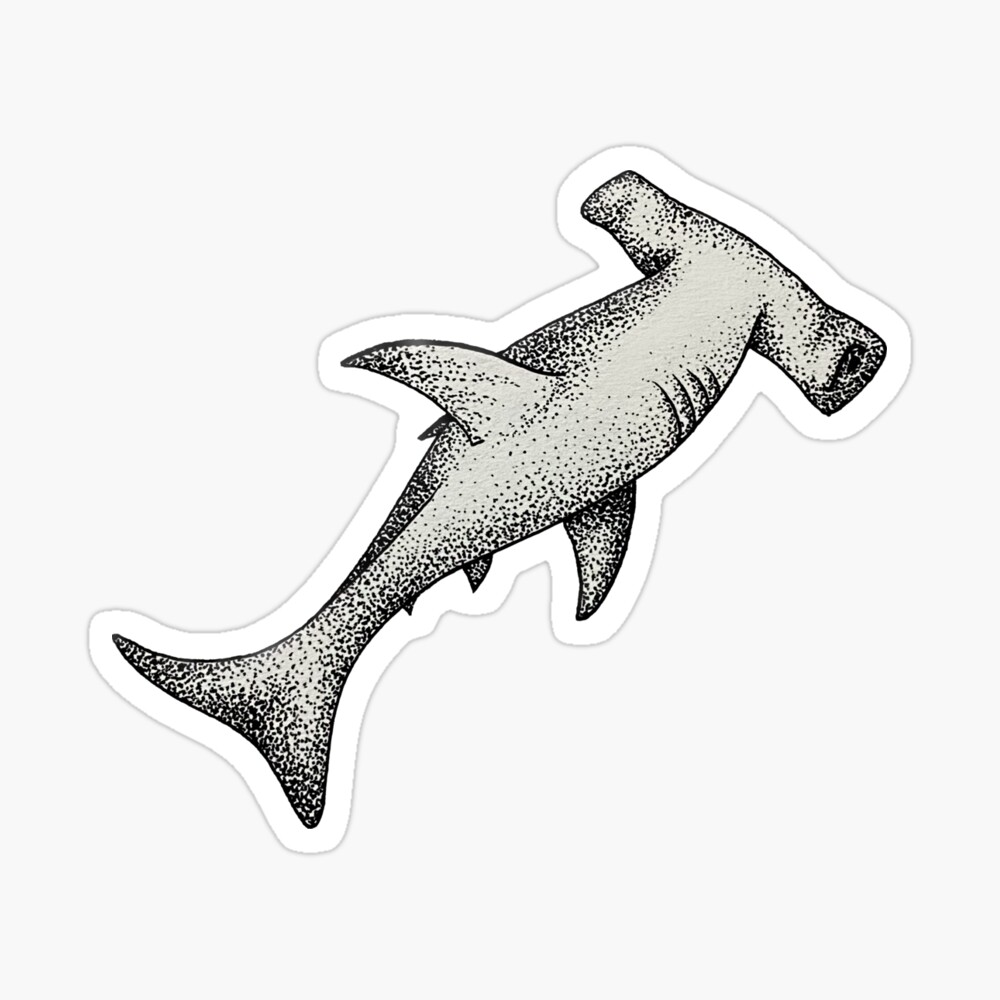 Hammerhead Shark Ink Art - ocean life design - Hammerhead Sharks