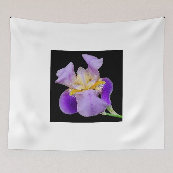 Item preview, Iris Splendor. designed and sold by vette.
