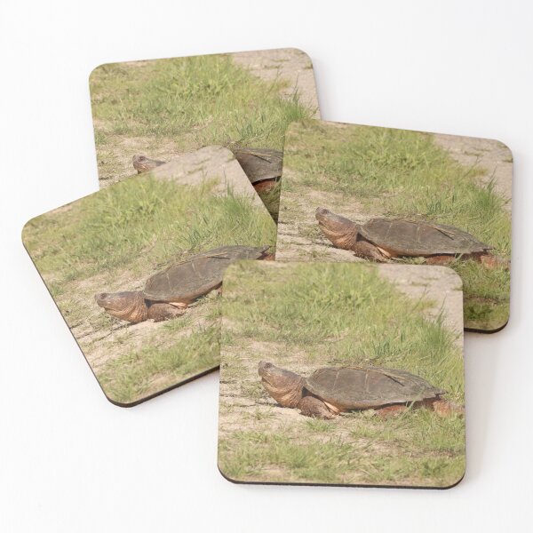 Item preview, An Old Snapping Turtle Surveying the Surroundings designed and sold by Judy Geller.