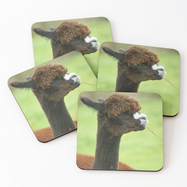 Item preview, Alpaca chewing on dry grass designed and sold by LorrieBee.