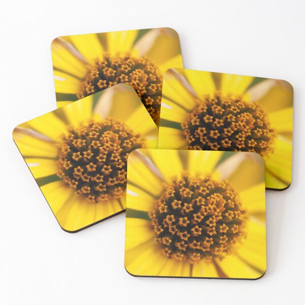 Item preview, Daisies in Daisies designed and sold by Pellucid.