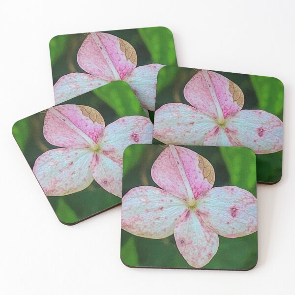 Item preview, Pink-White Hydrangea designed and sold by Jackson Lanier.