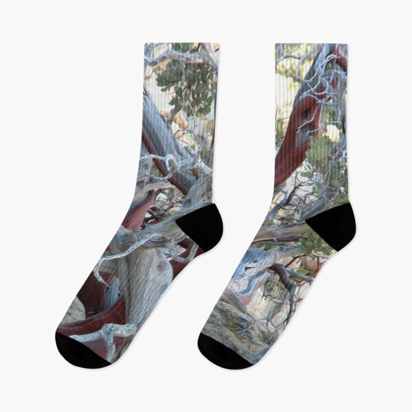 Item preview, Manzanita of the High Desert Southwest designed and sold by jeff-jones.