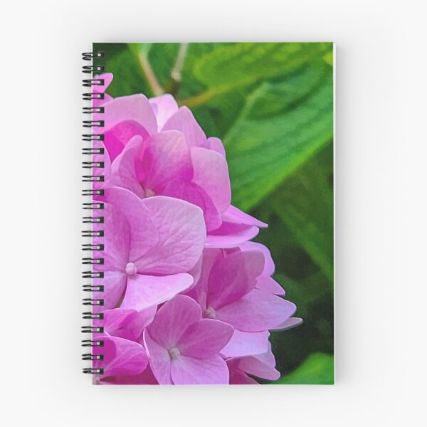 Item preview, Pink hydrangea Off-center  designed and sold by Jackson Lanier.
