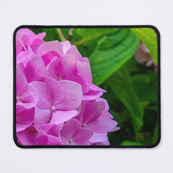 Item preview, Pink hydrangea Off-center designed and sold by Jackson Lanier.