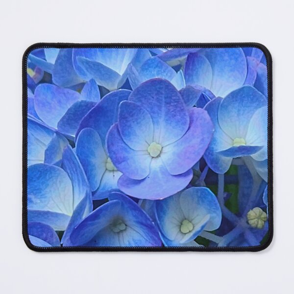 Item preview, Blue hydrangea designed and sold by Jackson Lanier.