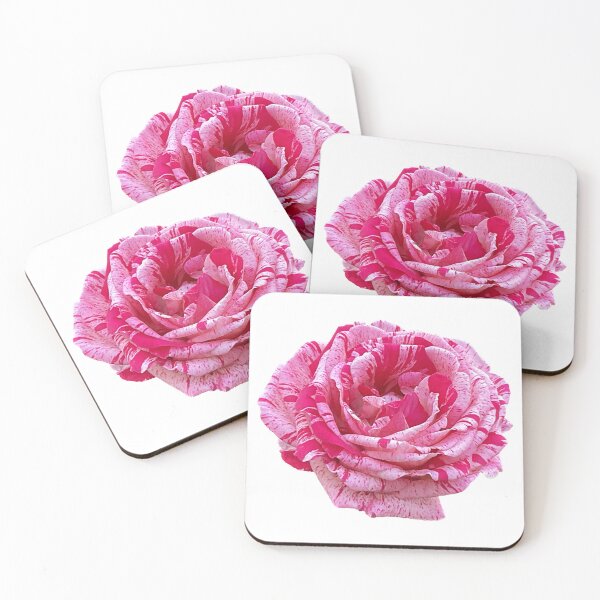 Item preview, Cottage Core, Pink White Rose designed and sold by suekieper.