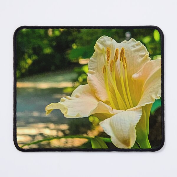 Item preview, Yellow Lilly designed and sold by Jackson Lanier.