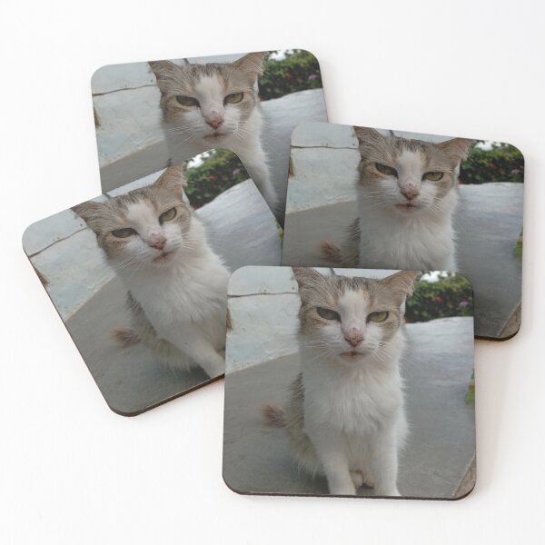 Item preview, cat pashmina designed and sold by DoPanther.