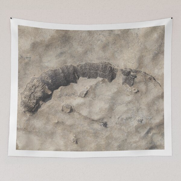 Item preview, Falls of the Ohio Fossil Hunter 04 designed and sold by Relics Of The Day.
