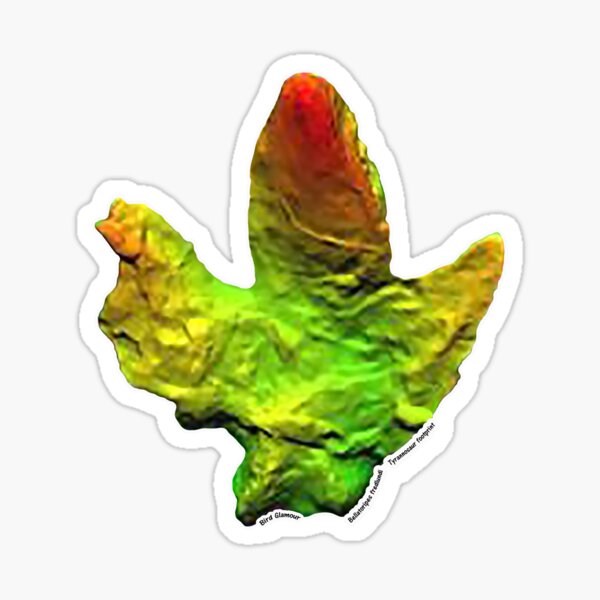 Item preview, Bellatoripes fredlundi - Tyrannosaur footprint designed and sold by BirdGlamour.