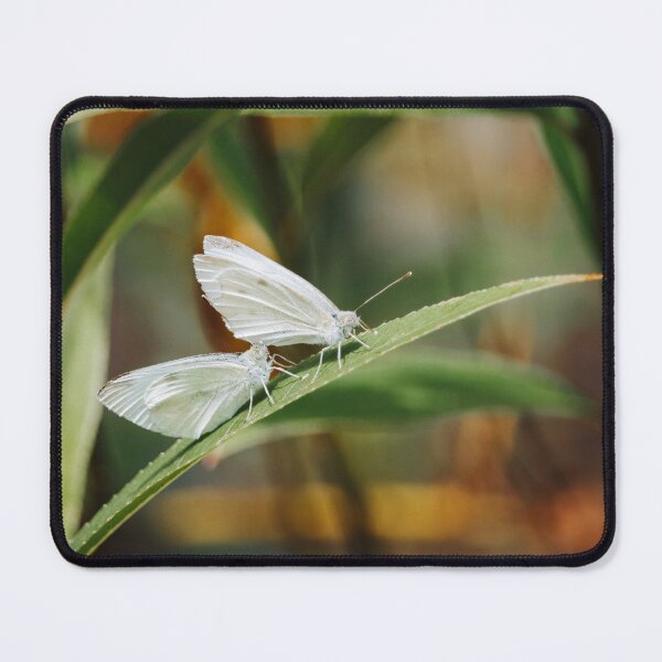Item preview, Two Butterflies designed and sold by cnmedia.