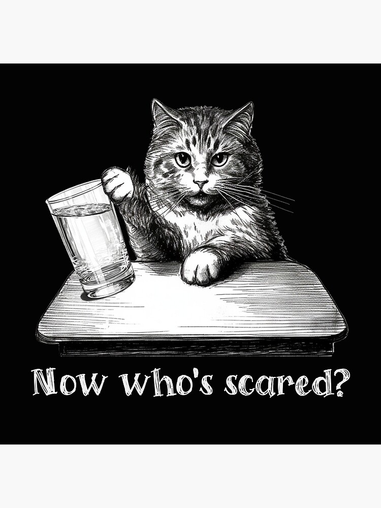 An actual scaredy cat : r/cats