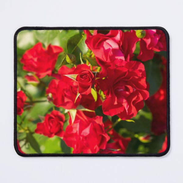 Item preview, Scarlet Bunches of Sweetly Smelling Red Roses designed and sold by Georgia Mizuleva.