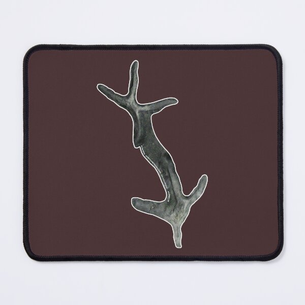 Item preview, Jindongornipes - Early Cretaceous Bird Footprint designed and sold by BirdGlamour.