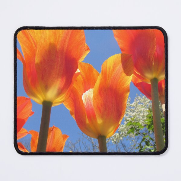 Item preview, Towering Glory designed and sold by Simple Joys Photography.