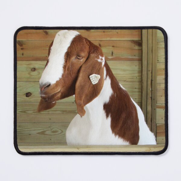 Item preview, Billy designed and sold by Simple Joys Photography.