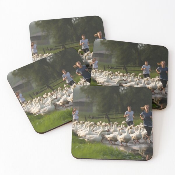 Item preview, On A Wild Goose Chase - Trail designed and sold by visualidioms.