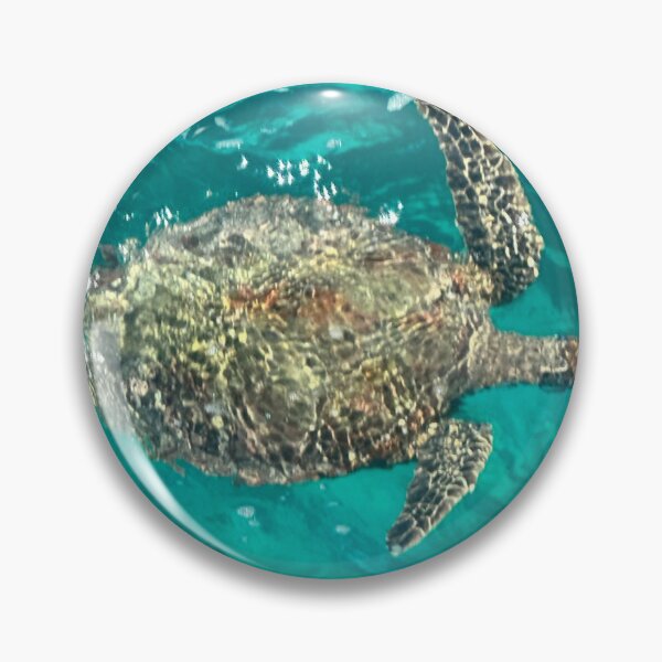 Item preview, Australian Turtle designed and sold by fairielights.