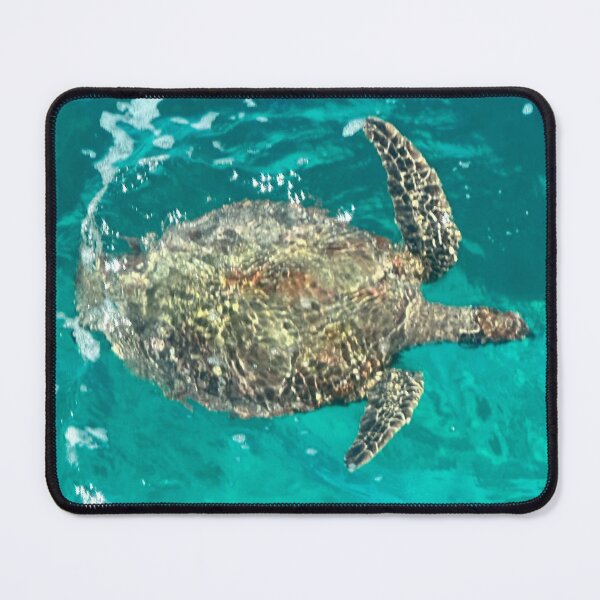 Item preview, Australian Turtle designed and sold by fairielights.