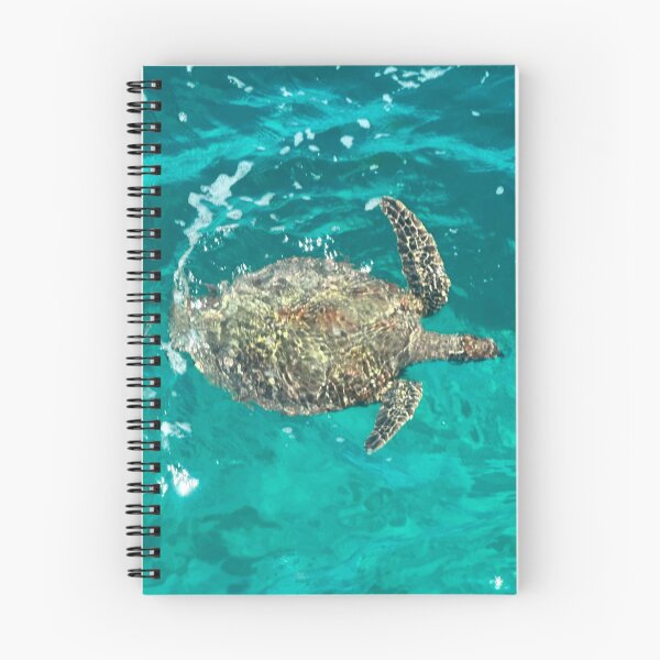 Item preview, Australian Turtle designed and sold by fairielights.