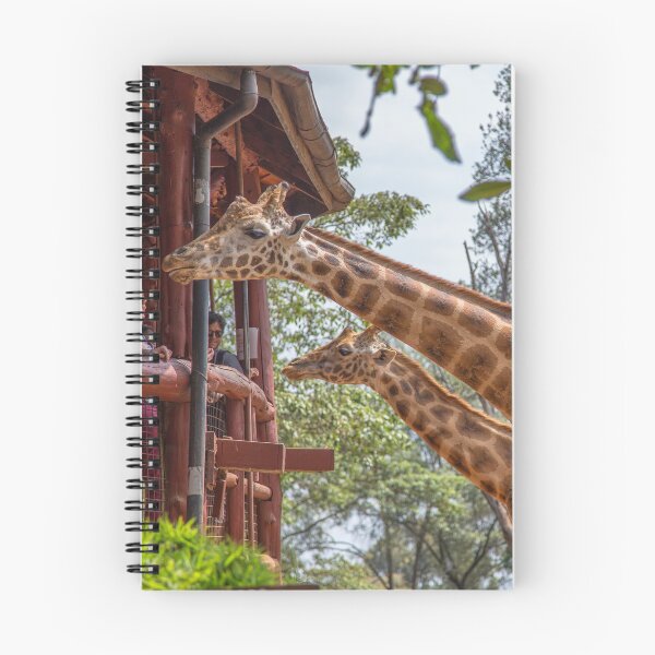 Item preview, Kenya. Nairobi. Giraffe Center. designed and sold by vadim19.