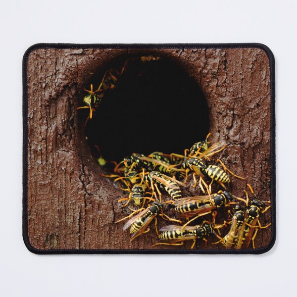 Item preview, Wasps nest in the wood hole - aggressive wasps going out from the nest designed and sold by Michaelerch.