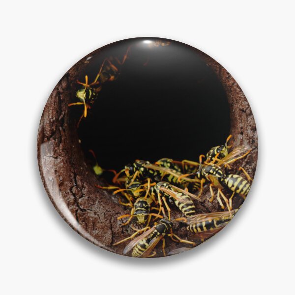 Item preview, Wasps nest in the wood hole - aggressive wasps going out from the nest designed and sold by Michaelerch.