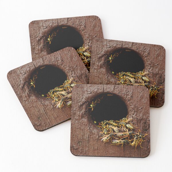 Item preview, Wasps nest in the wood hole - aggressive wasps going out from the nest designed and sold by Michaelerch.