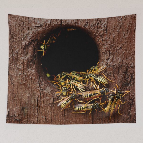 Item preview, Wasps nest in the wood hole - aggressive wasps going out from the nest designed and sold by Michaelerch.
