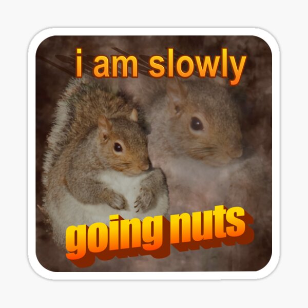 Item preview, I am slowly going nuts squirrel word art designed and sold by snazzyseagull.