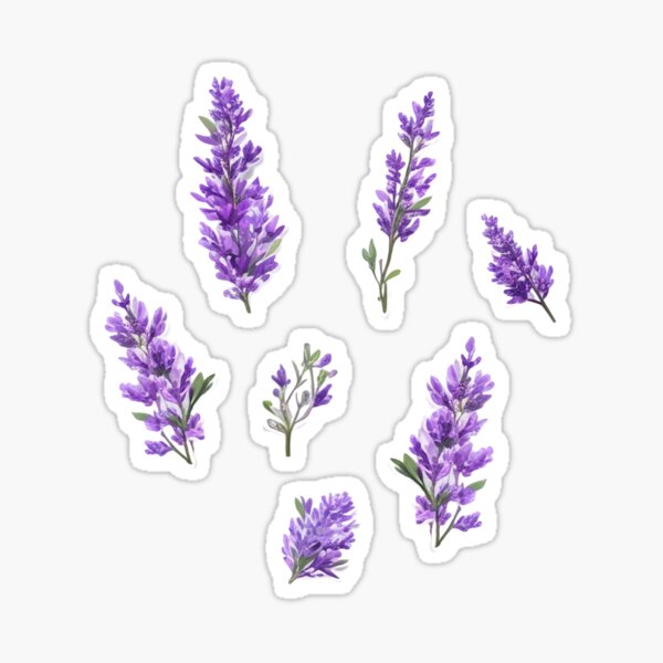 Lavender and Citrine Sticker for Sale by Aspen Workman