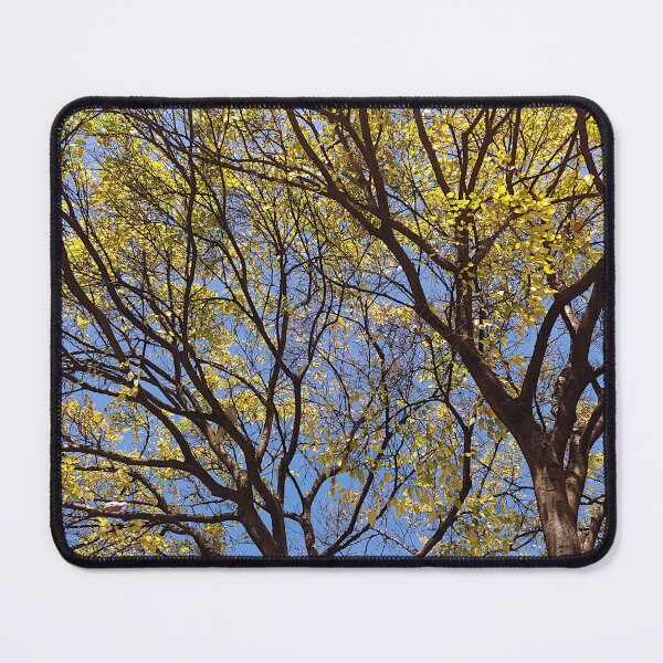 Item preview, Autumn tree designed and sold by PictureFarm.